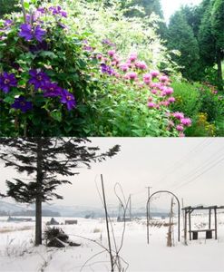 6da90c59edb21f1f977995de7862de3a