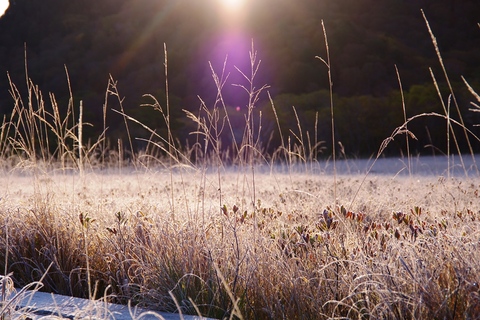 9fc325a0adeacad96ba44d5e2776bc23