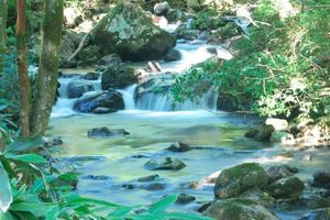 4eff72dff8d3a1f6531decd6e82b1936