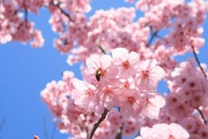 24080d417e373a22b231c5895ae54207