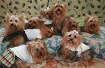 4d22d23a1de79bba2e46913b4599b32b