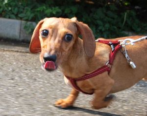 5a1b009036fa1d3fd92edbb58769d0ea