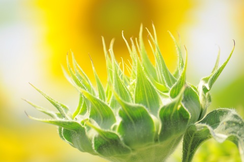 500c0a983ffb758873c216742eec648b