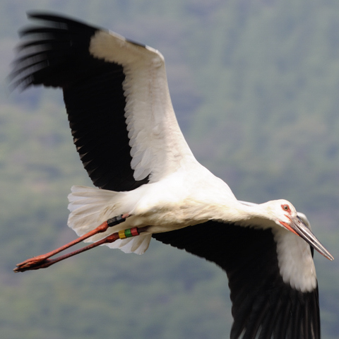 70729ff1be6caa902e51e7ab8d9d1399