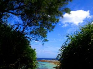 E58f1fd2b4b3ae23bc62b7bc695805a9