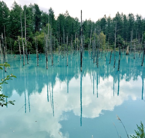 84a6e03be6af0d8ac5775fe5338898a4