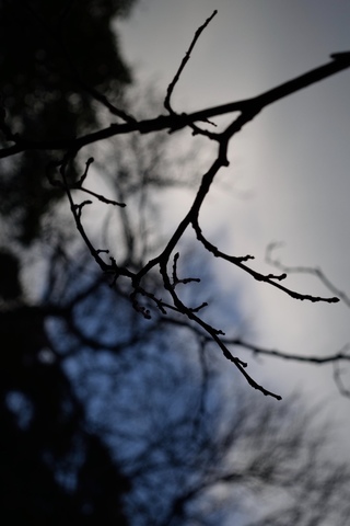 03e3fe658f0a8aa67353ccac31b4e657