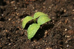 Acd89143bda4741f3ee7917c0eee9d00