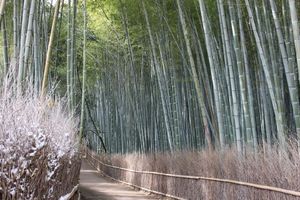 0fb496fce2e41260b1b76ddc605545e3