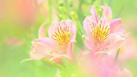 9697027e3462554c05087ec1054a82b9