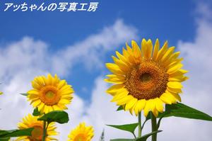 936022a89acccfcf27177bb6f6dcff63