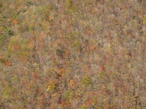 65c189a2a29cc01222e46d7cdf48af8b