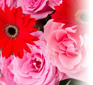 61e5b7abad5a2255638f7cc158b9b3f6