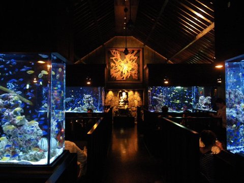 9c188890727b49ca956029ce33978e71