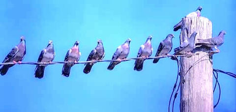 77ca2b81522aaac2871ce9486941def1