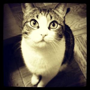 4ac3e08996150ca9e9f43eb252fd1cec