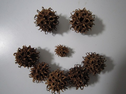 Eb1682a125c4cca58bb105f625eb54f4