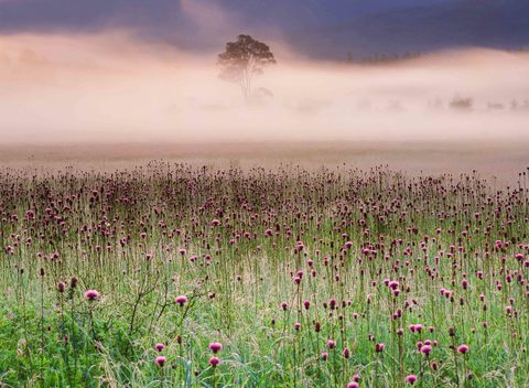 A181513cc26df342b892db5e81920124