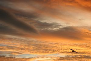 01eb6905e60bffc5d81e4f0a02478569