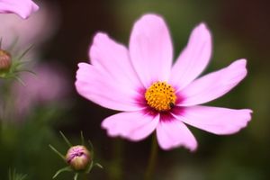 D661afe7f2e1a4489ba40ef1bcd608cf