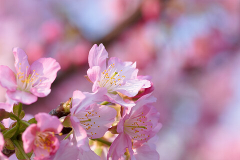 5e8cdfcb69eb8a3d12a57777d60f65f1