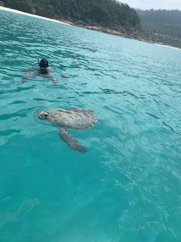 9b543e14b4744a6bef35f9cadade6e08