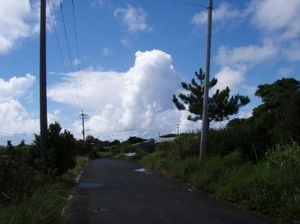 E91473af7e481a825059d6edf7f7f8fd