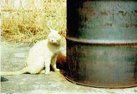 53ef71a505343e2dbc31d678e105cca8