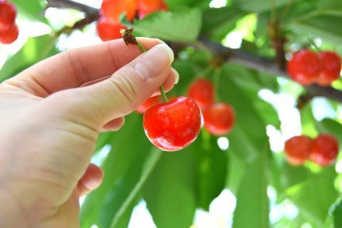 202b3229fbbde8dc7d6f11bfa072f3d9