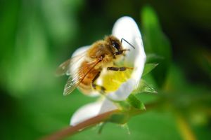 67d9854d8e61c444b977d657679d43ef