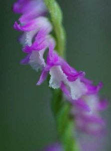 C1d6c6175f73cd0e1cc39fd906547756