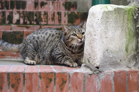 B5e5eaea5d2f27c13c576830bd89dcf3