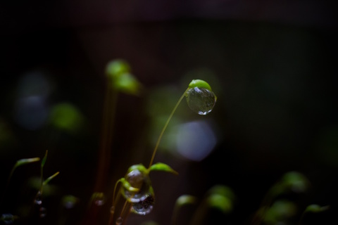 C1a01e2f8186a56edbeac6801d3a4e7d