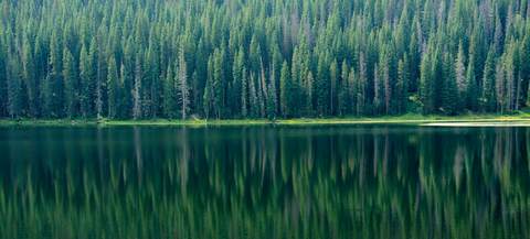 169742144a2c6debfd04d1945636efdf