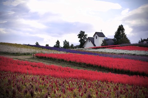 7781b1f9d211833a98a1558b40d4df90