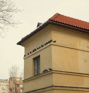 0f6cb5f6df4388fd1a01b41092811b69