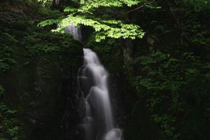 7eef2eb658eeb2049535d91a53e07fee