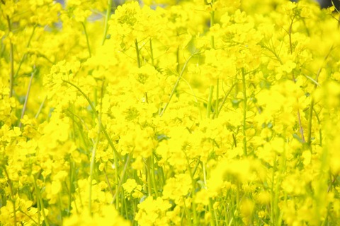 24373fb9e0898a98e3315f147cab75c6