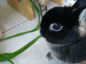 2ac82550d1453e03d225fa806cb35b81