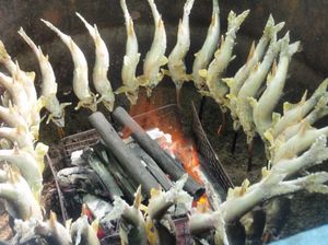 A07d56df9422b575b7a1e6d44b52d596