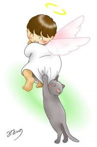 11dfd4a5964ba27f4e47b0361380cb41