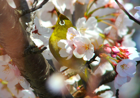 9efb3d48702a6c1e4005e615bdf4282c