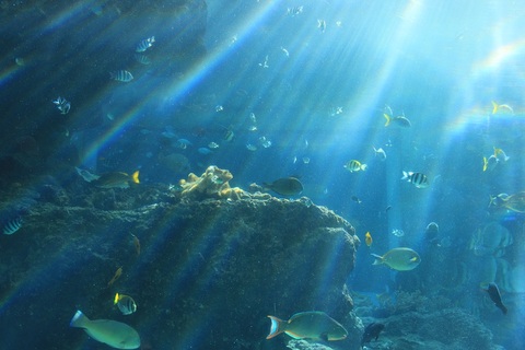 210e6134366285a2f878bf88d319a292