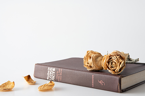 Aabb4b8b77f484c1a8766964ba399dbf