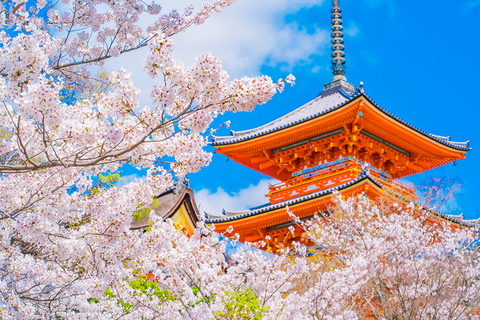 3bd8cdd035035eac3973fcf2178b1765