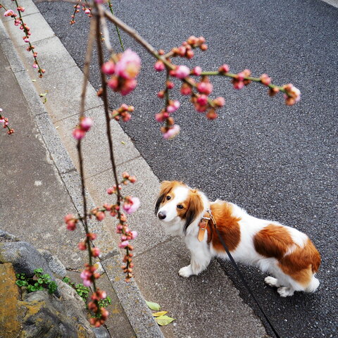 3d43036a926c6533aa794511b942f58f