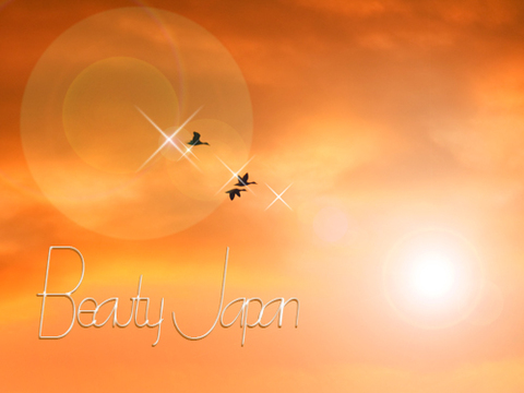 4f8d33f2a4261a4621c5b1992624518b