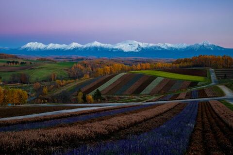 5bd8bb5b813da106b782ec648520515b