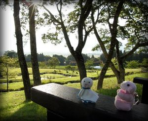 539ac3a486424f96310251901a4eaf42