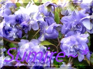 7272fbfb94da35f40e3096428e78ee94